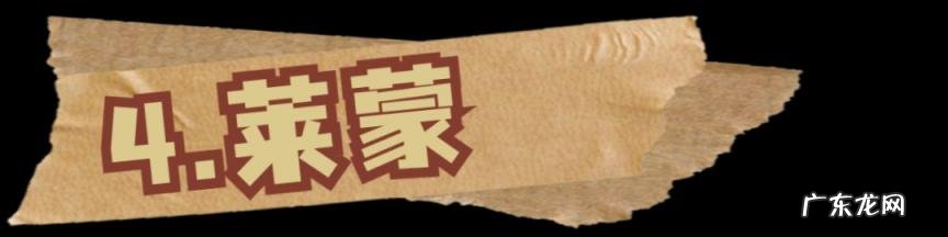 上海盐汽水哪个正宗 上海盐汽水哪个牌子是正宗的?