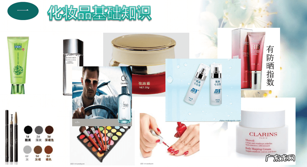 关于化妆品的相关知识 化妆品基本常识
