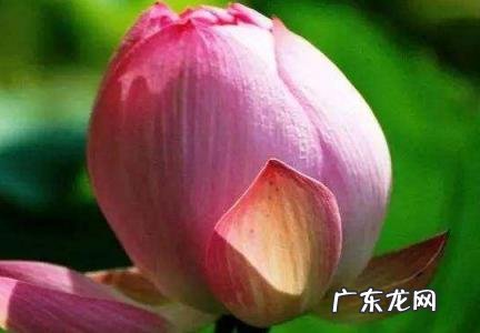 大暑代表的意思和时间 大暑代表的意思