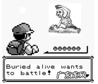 精灵宝可梦黑2图文攻略 口袋妖怪黑2攻略图文