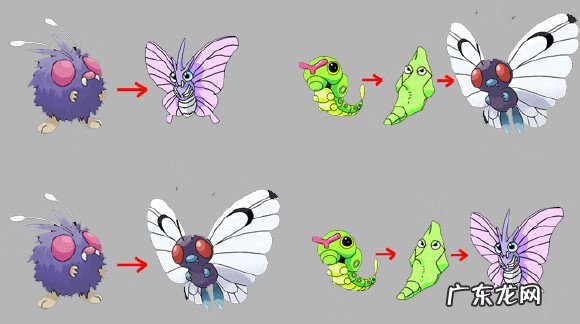 精灵宝可梦黑2图文攻略 口袋妖怪黑2攻略图文