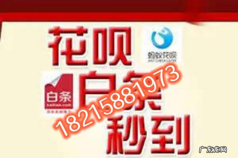 京东白条怎么说 京东使用白条是什么意思