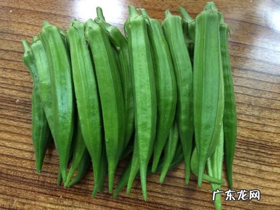 秋葵花 黄秋葵花的功效与作用禁忌