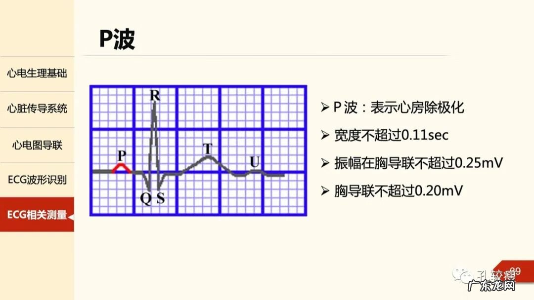 心电图机导联位置图 心电图导联位置示意图