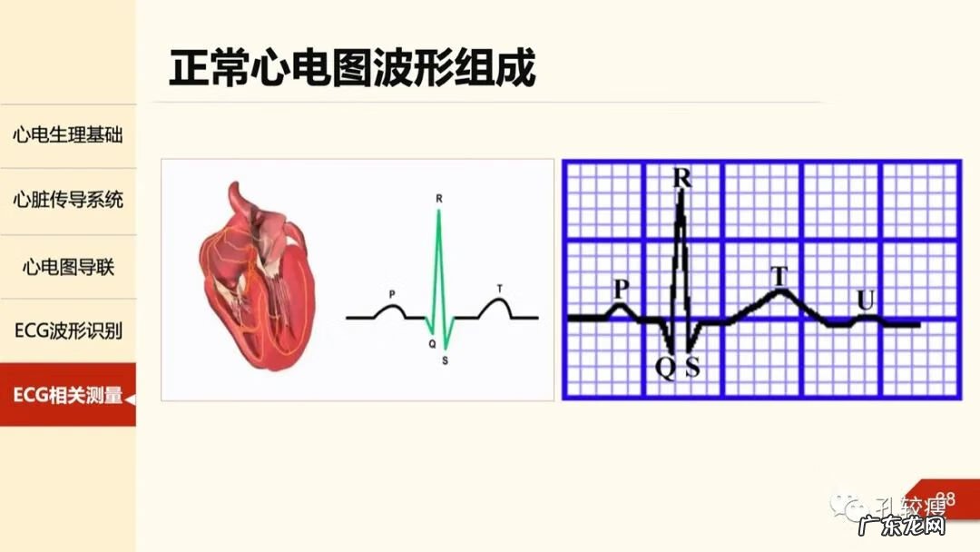 心电图机导联位置图 心电图导联位置示意图