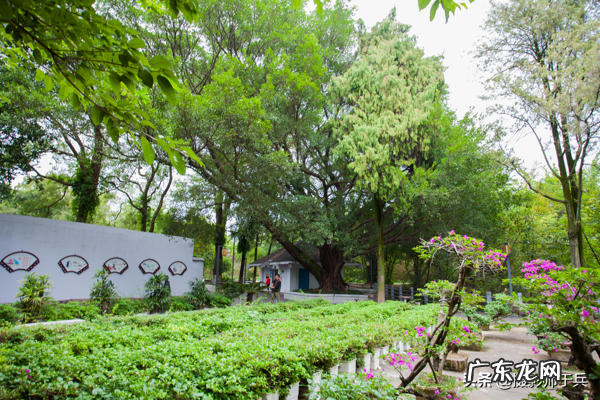 赣州八境台 赣州市龟角尾