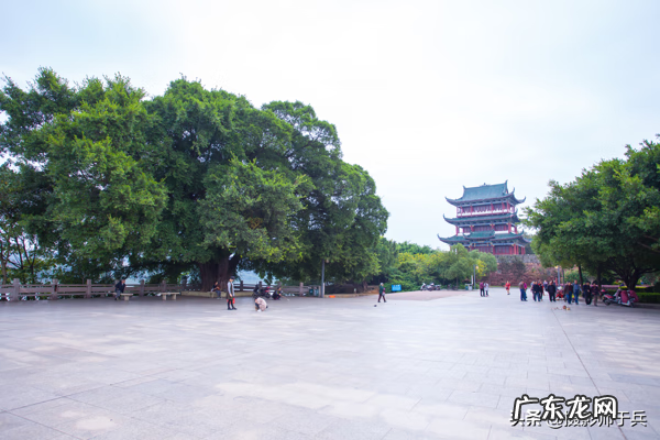 赣州八境台 赣州市龟角尾