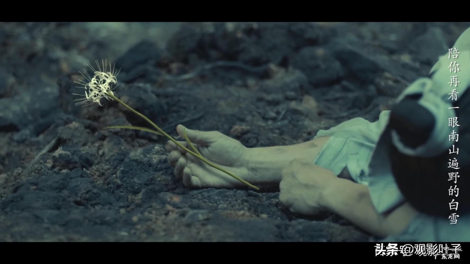 捉仙记一共几部 捉仙记1