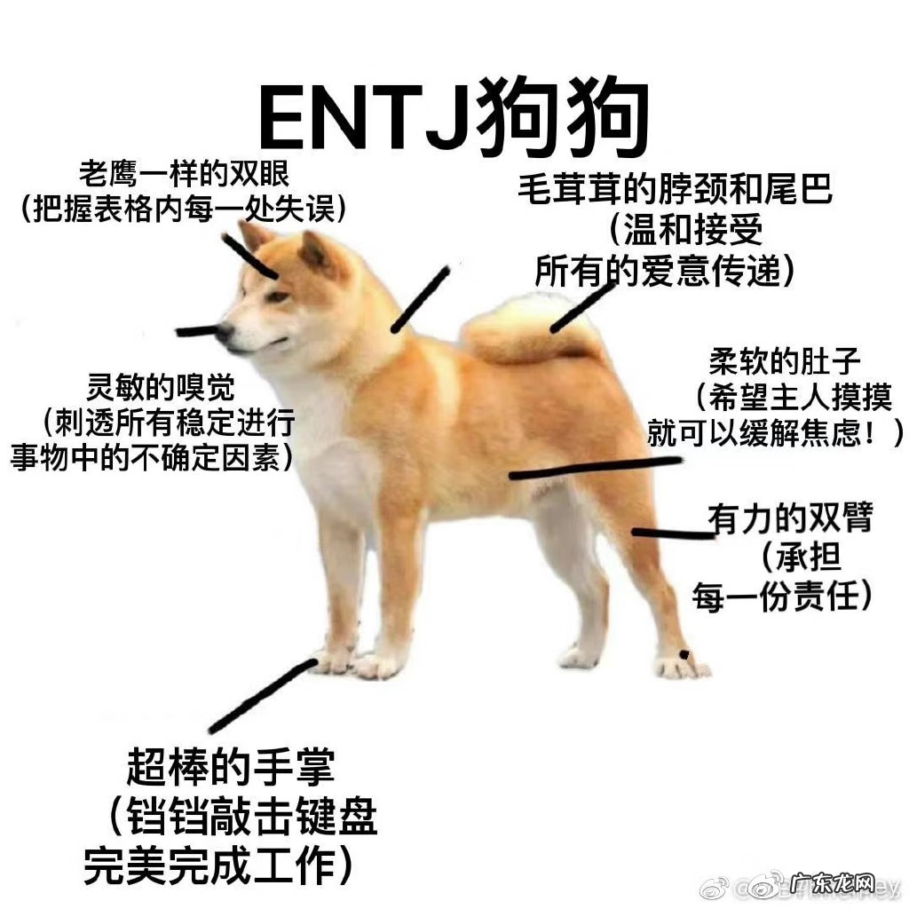 完美国际精灵火魂技能 完美国际精灵技能信念