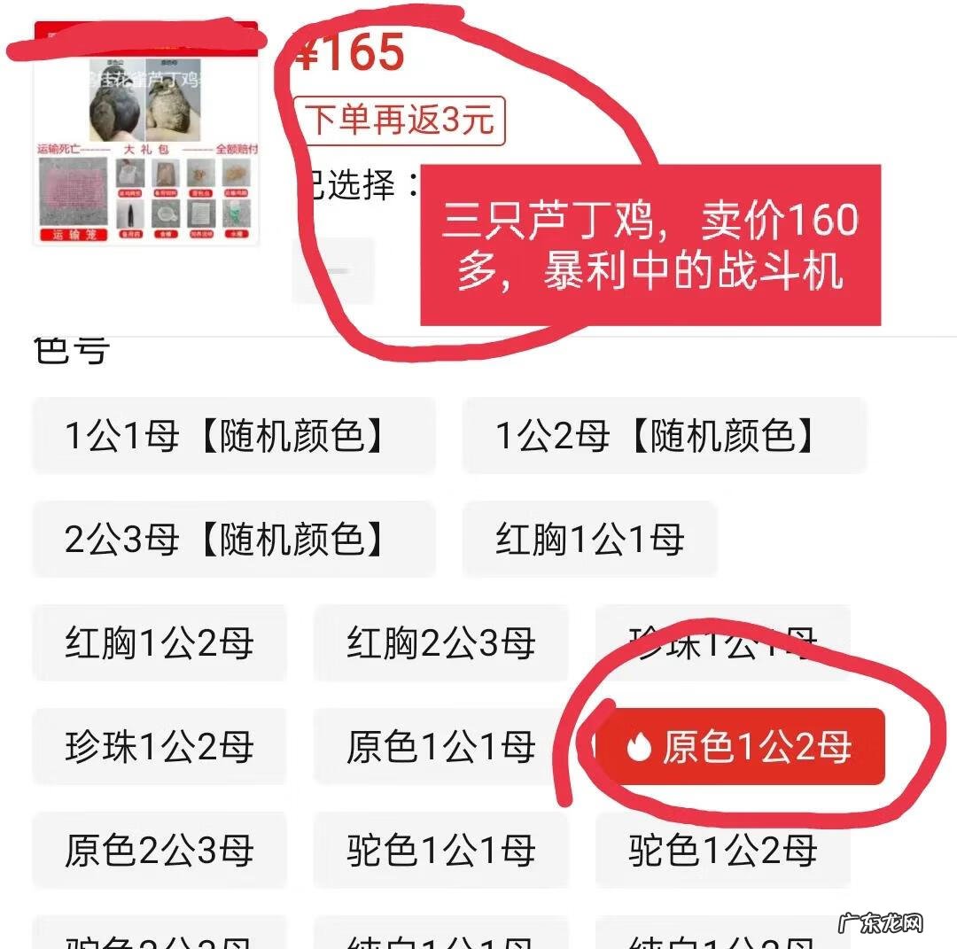 在农村里做什么可以赚钱 农村赚钱项目有哪些