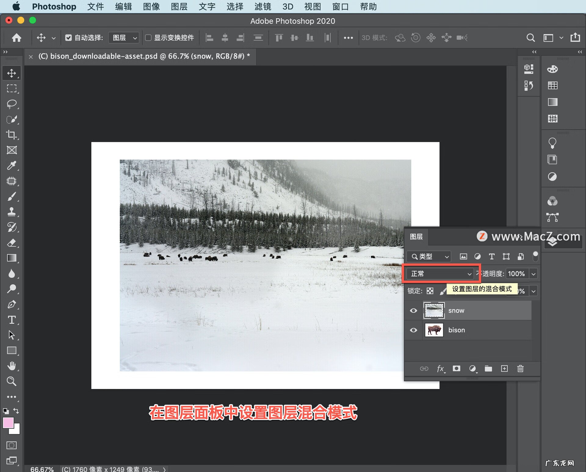如何使用ps合成图片 ps怎样合成图片