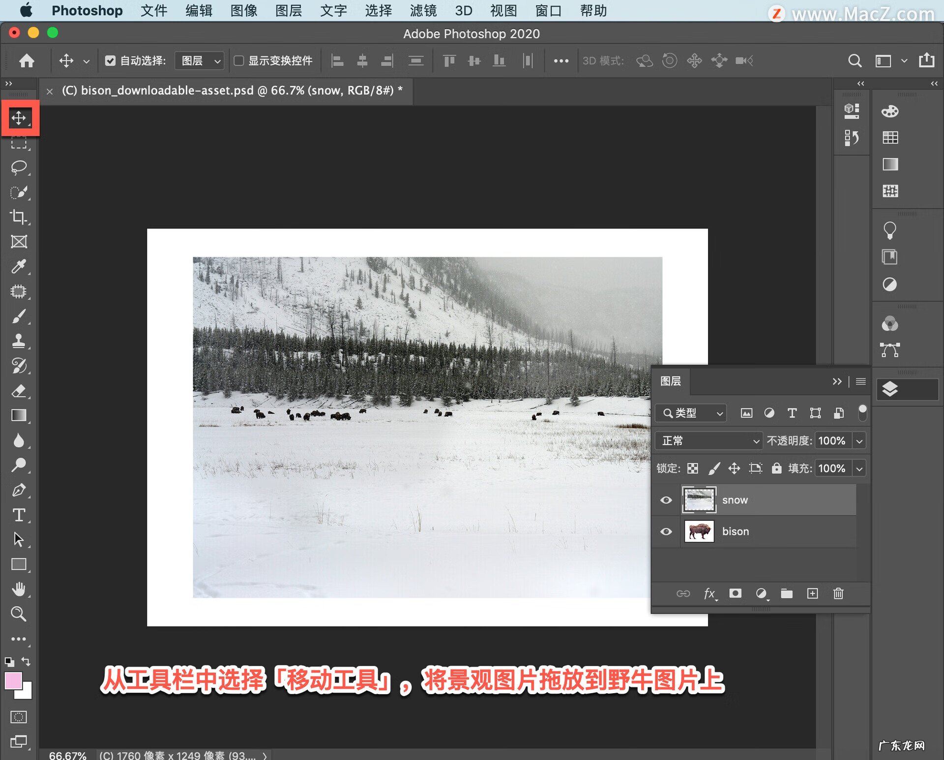 如何使用ps合成图片 ps怎样合成图片