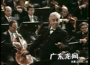 圆舞曲之父代表作 圆舞曲之父是