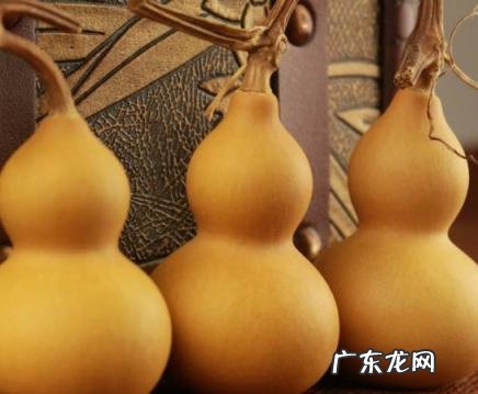 葫芦挂在门上还是门旁 葫芦挂在门上还是门旁好