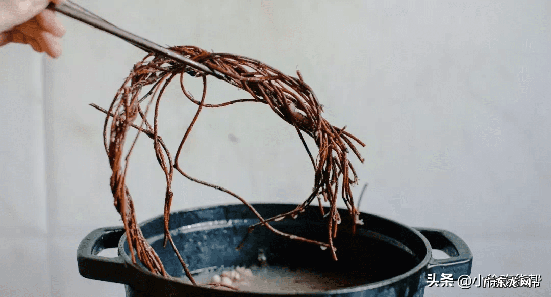 鸡骨草苹果猪骨汤 鸡骨草煲猪骨还可以加什么