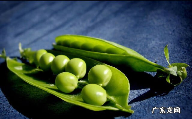 青黄豆发芽了还能吃吗 青豆发芽了能吃吗?