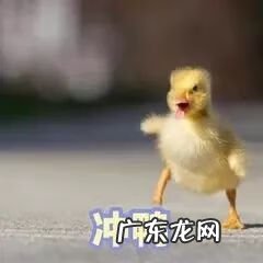 雅思成绩保留多久 雅思成绩保留几年?