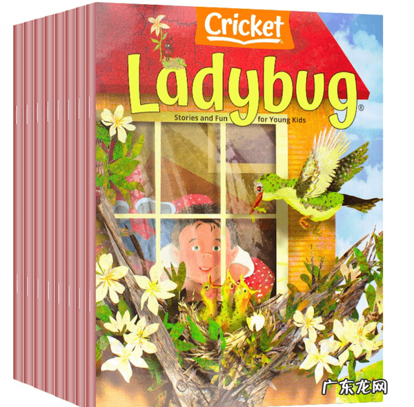 植物大战僵尸无敌修改器 植物大战僵尸英文版修改器