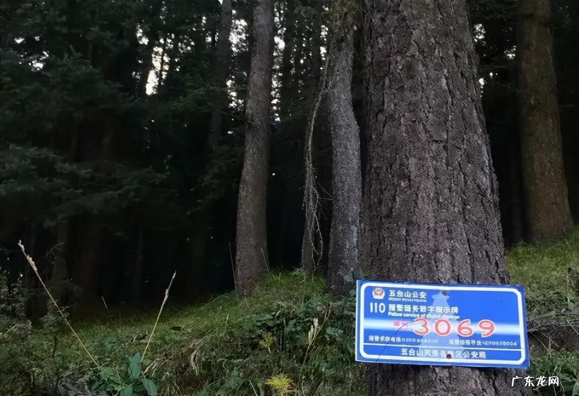 易缘风水 北京修缘风水