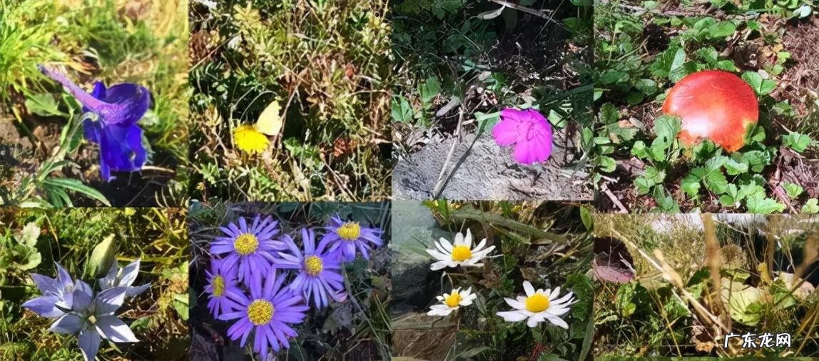 易缘风水 北京修缘风水