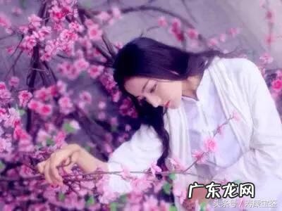 怎样判断玫瑰种活了没 风水玫瑰人肉开几次花教一下