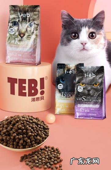 汤恩贝k系列猫粮怎么样 汤恩贝k7猫粮测评