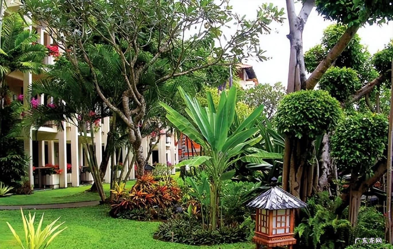 绿化越好风水越棒