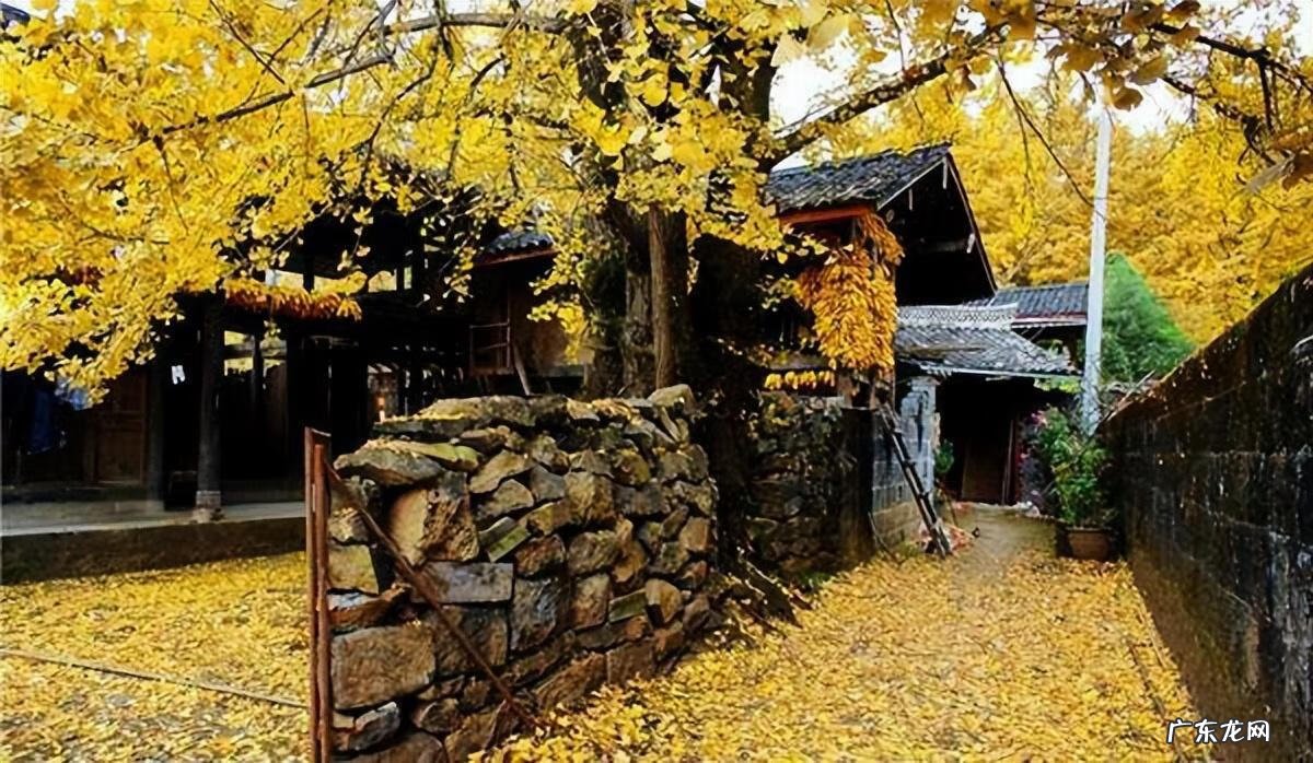 绿化越好风水越棒