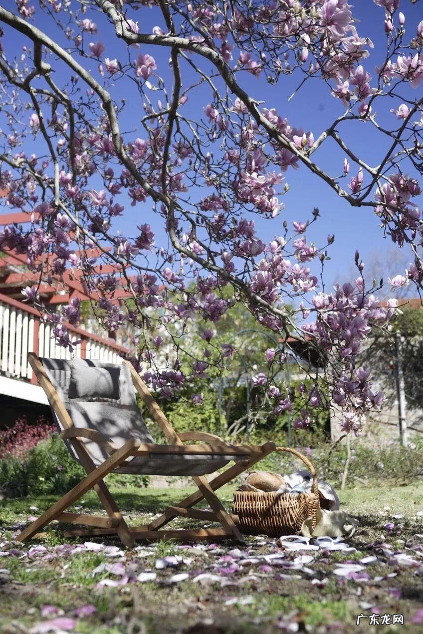 绿化越好风水越棒