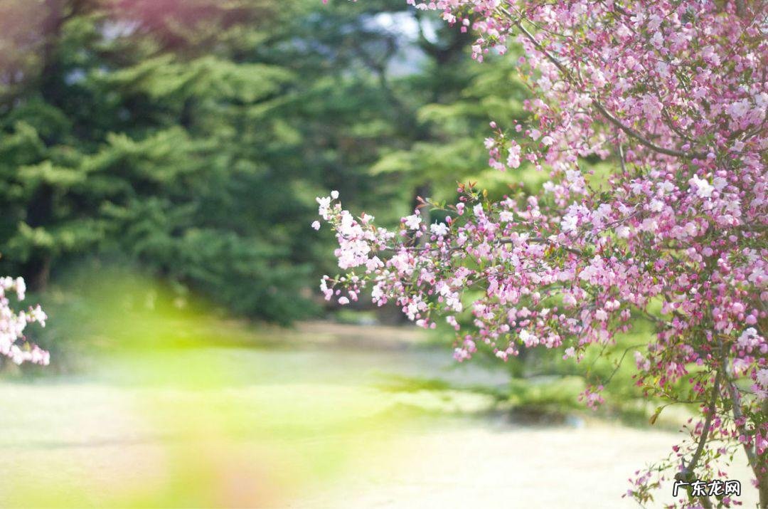 绿化越好风水越棒