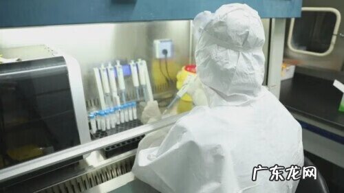 国庆节作文400字优秀作文2020年 国庆节的作文400字左右2020