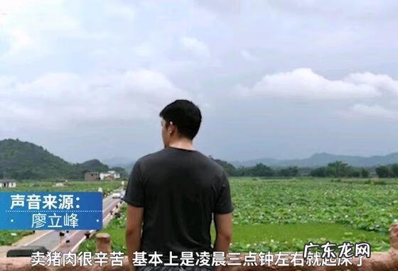 清北毕业生卖猪肉 985毕业生辞掉公务员卖猪肉还债