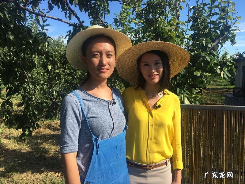 清北毕业生卖猪肉 985毕业生辞掉公务员卖猪肉还债