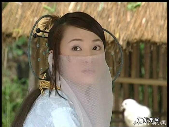 蒋勤勤主演的破案电视剧 蒋勤勤电视剧大全