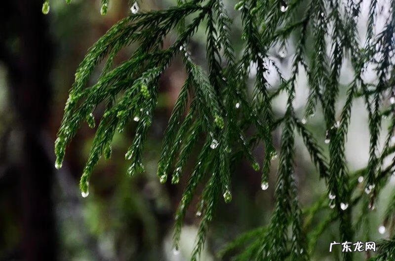 四川广安市岳池县 四川广安岳池县简介