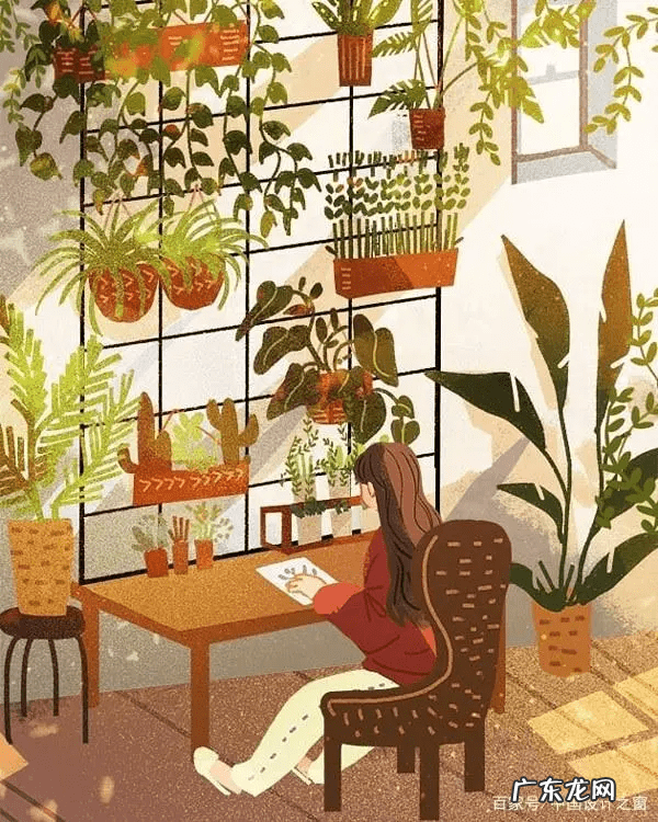 婷美内衣的牌子怎么样 新美婷内衣怎么样