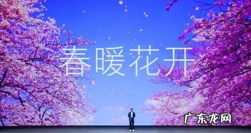 华为荣耀 (四核版 华为荣耀四核爱享版参数)