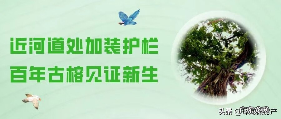 珠海斗门乾务镇规划 斗门乾务风水宝地