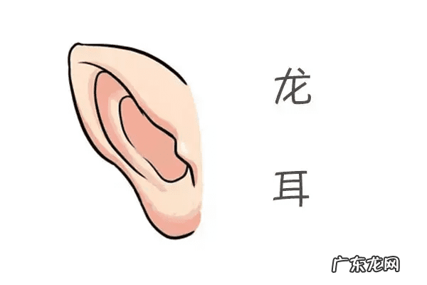 富贵当头图片 风水书里的富贵头