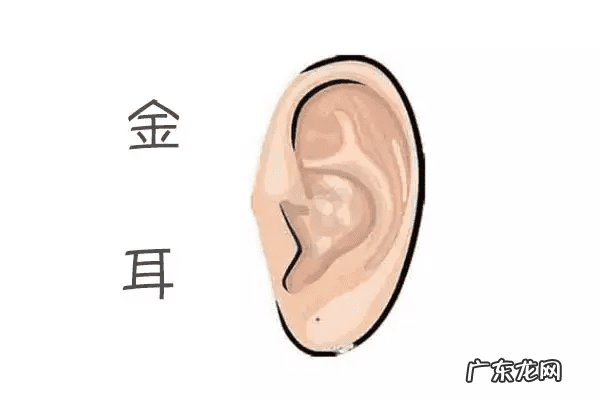 富贵当头图片 风水书里的富贵头