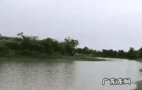 鱼缸养虾有什么好处 养虾的风水