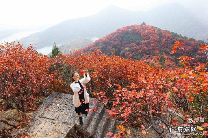 花椒树风水学是凶树吗 花椒树的风水