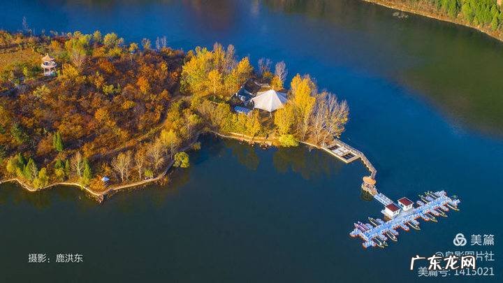 花椒树风水学是凶树吗 花椒树的风水