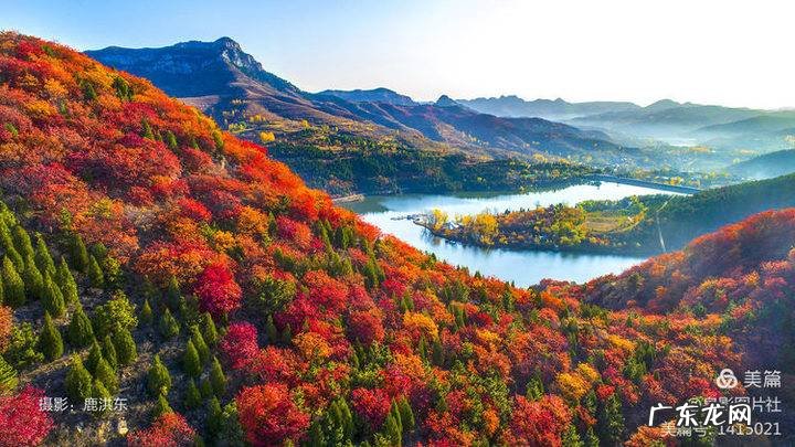 花椒树风水学是凶树吗 花椒树的风水