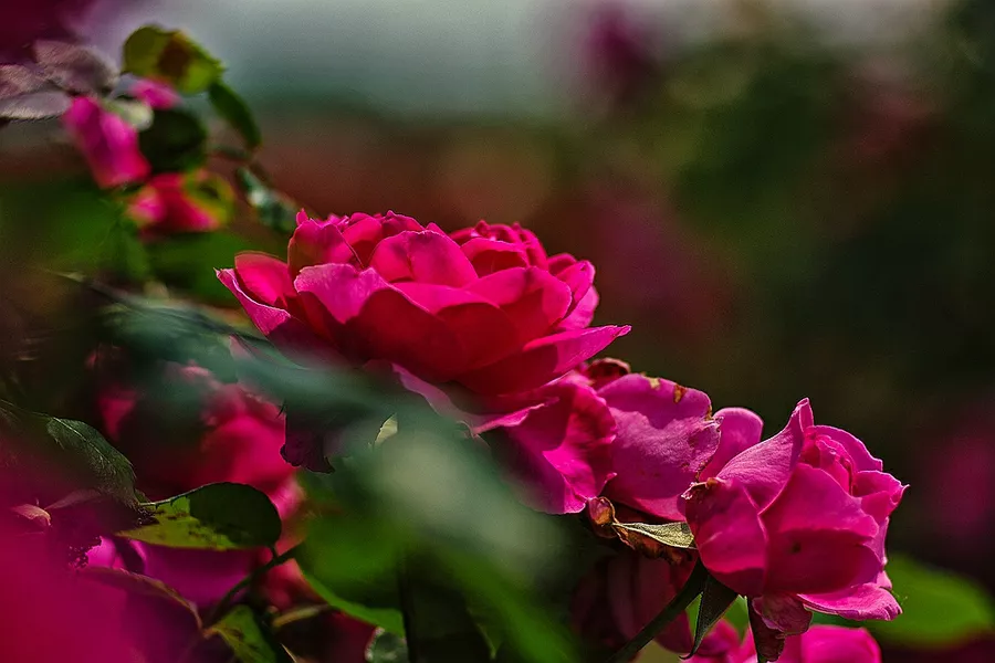 女人吃过哪些“亏”，会变得“格外”成熟？