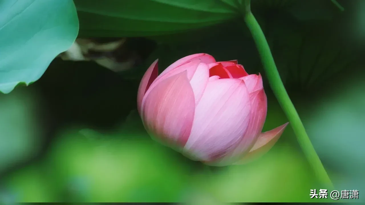 女人吃过哪些“亏”，会变得“格外”成熟？