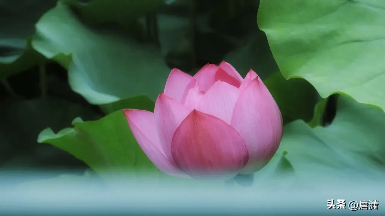 女人吃过哪些“亏”，会变得“格外”成熟？