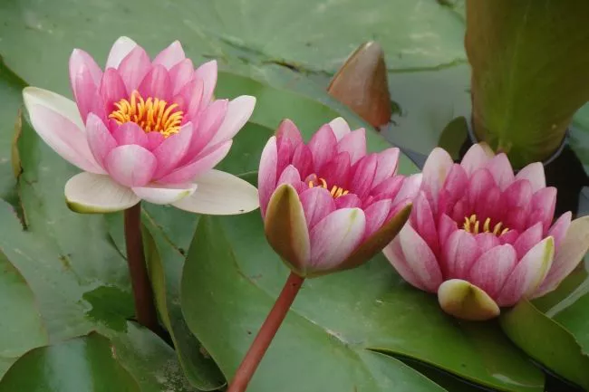 女人吃过哪些“亏”，会变得“格外”成熟？