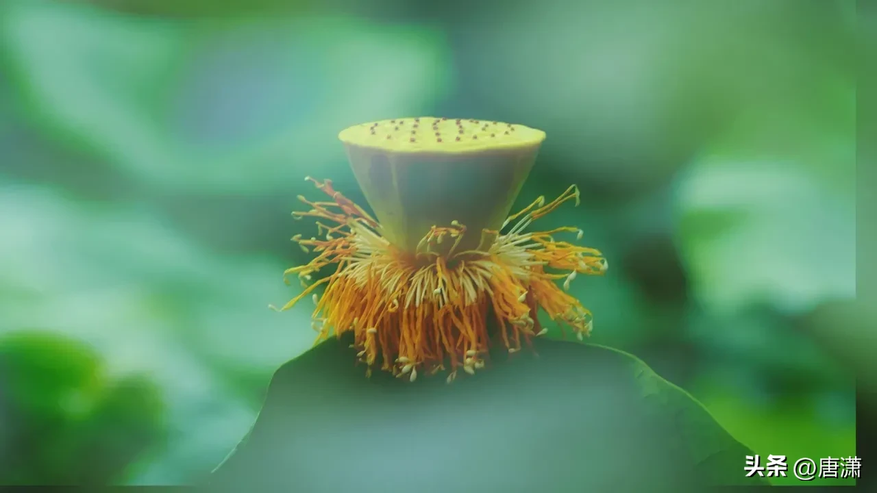 女人吃过哪些“亏”，会变得“格外”成熟？