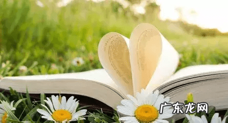 小学常用命题作文指导 小学作文指导方法